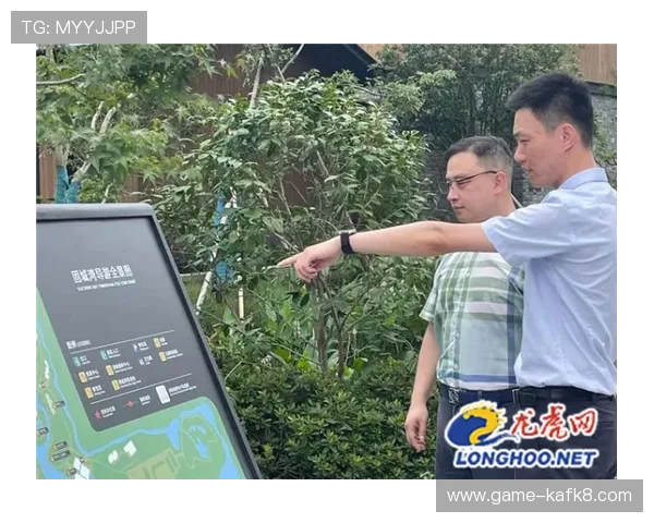 全面解析龙虎打法的实战应用与策略优化方法